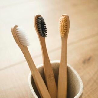 Bamboo Toothbrush Set (4)